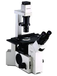 image of the Olympus IX-70 Inverted Fluorescence Microscope